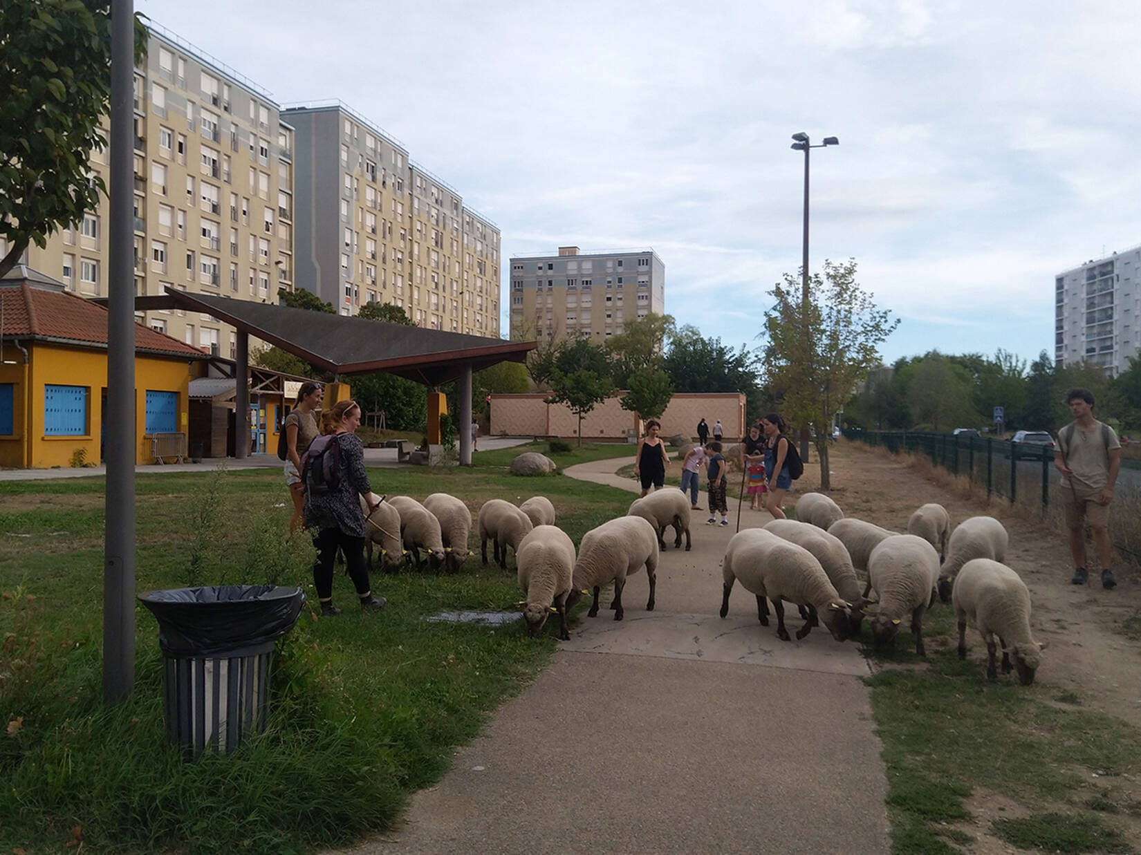 Ferme urbaine