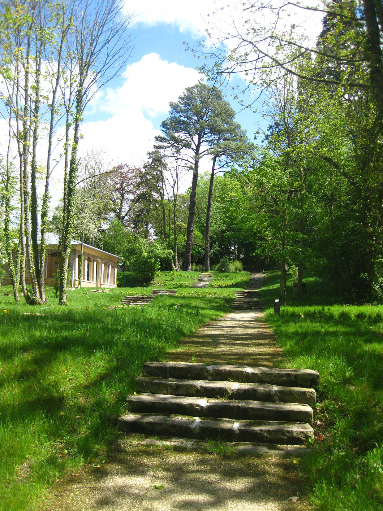 Restauration du parc du château