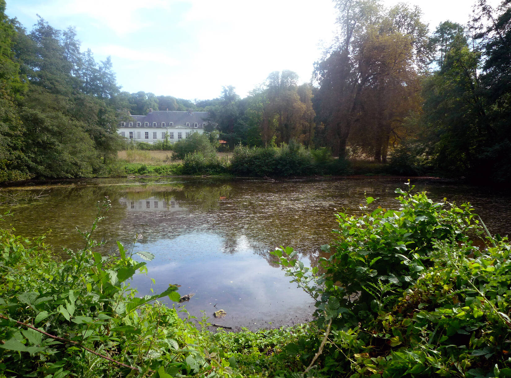 Restauration du parc du château