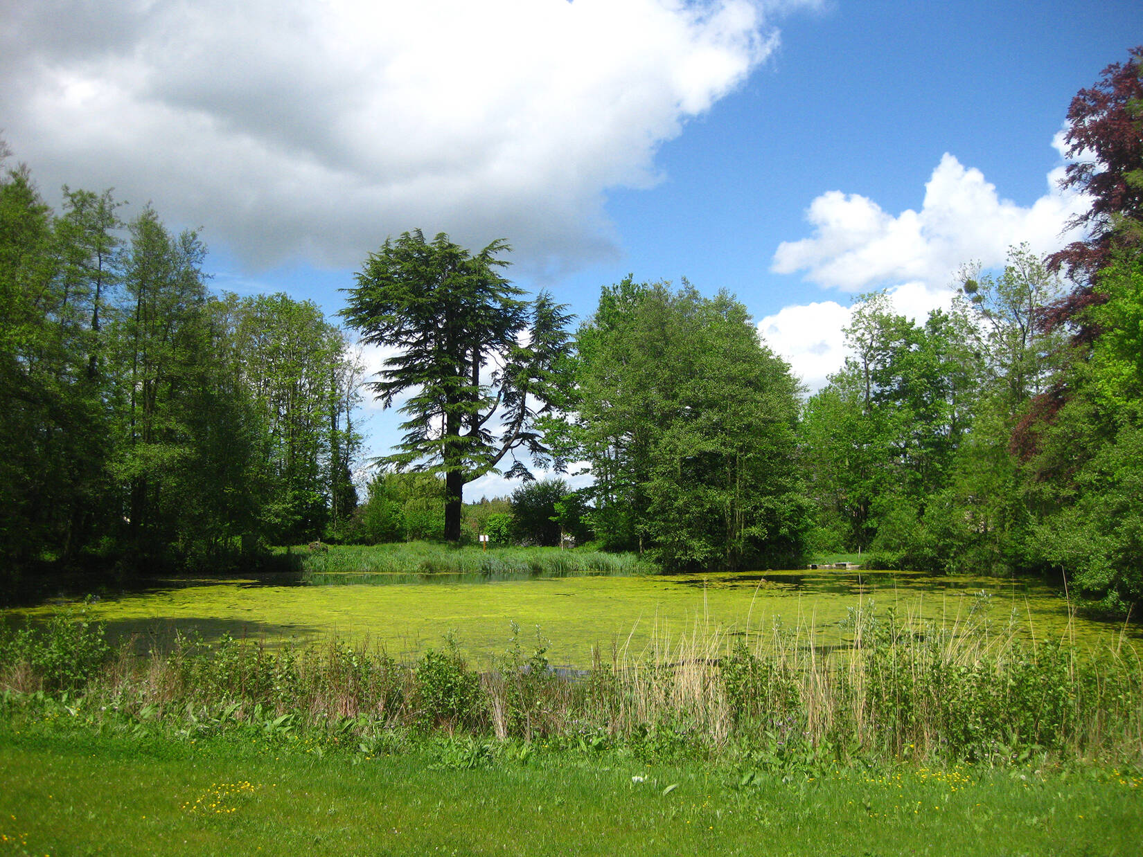 Restauration du parc du château