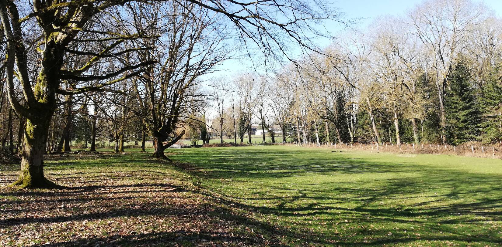Centre Psychothérapique de l'Ain