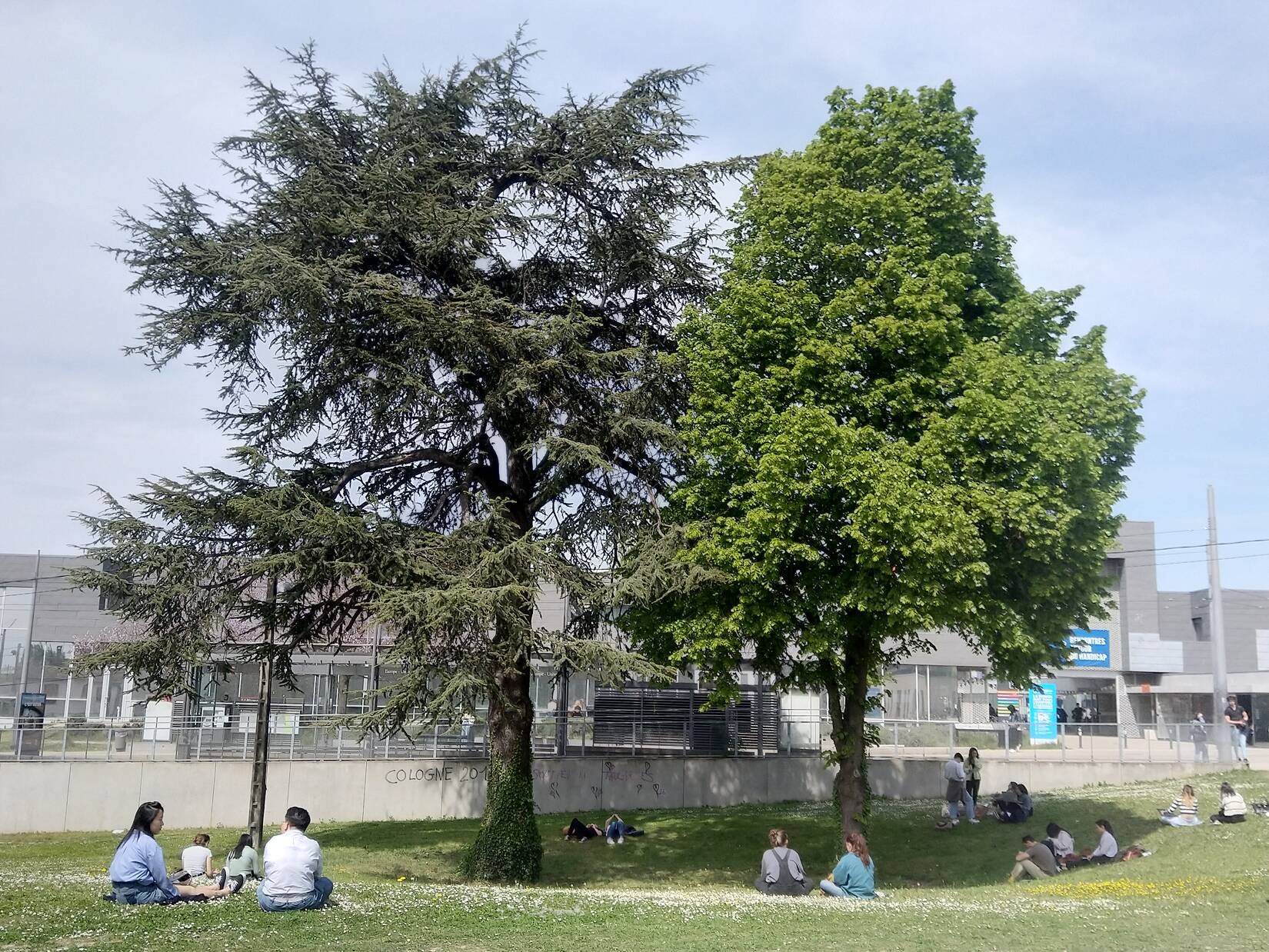 Assistance urbaine, paysagère et programmation pour l'Université Lyon II