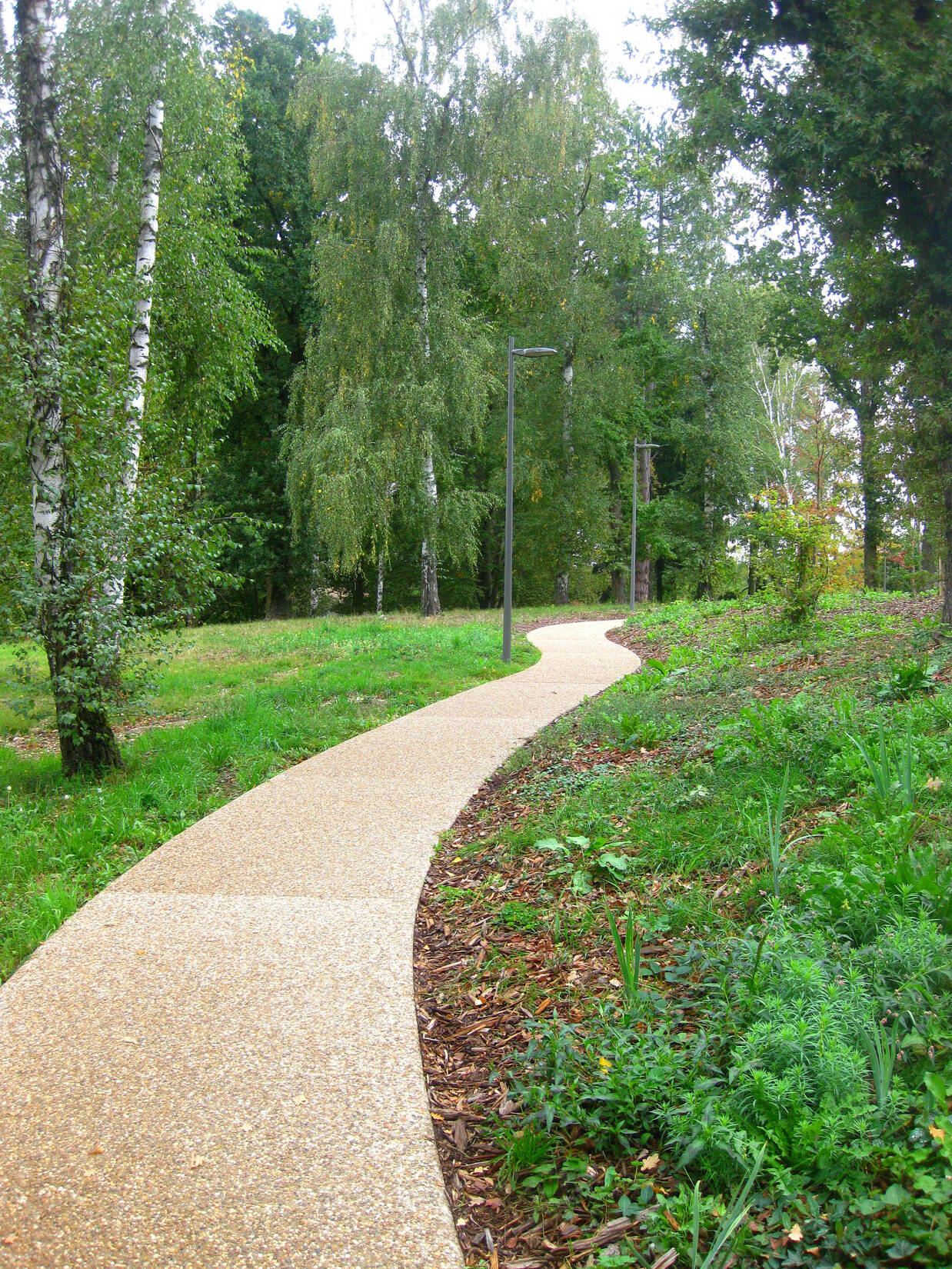 Collège du Val de Saone