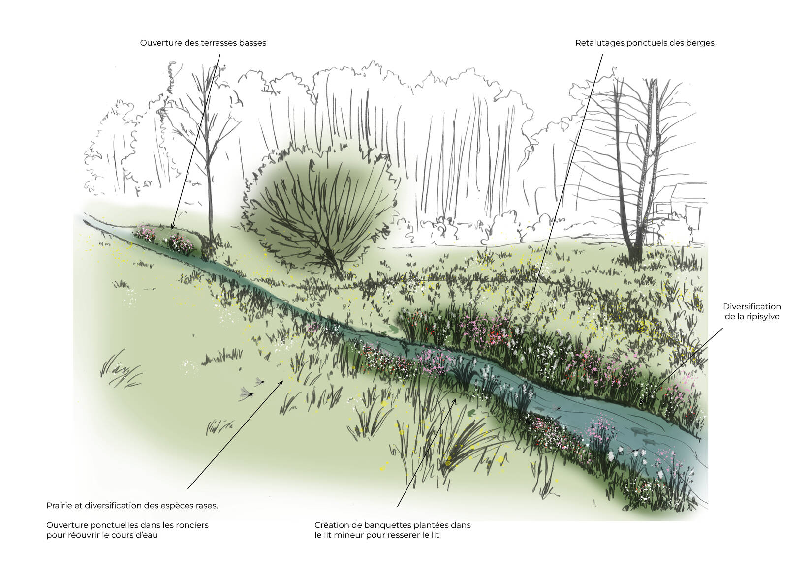 Restauration de la Ressouze et du Devorah