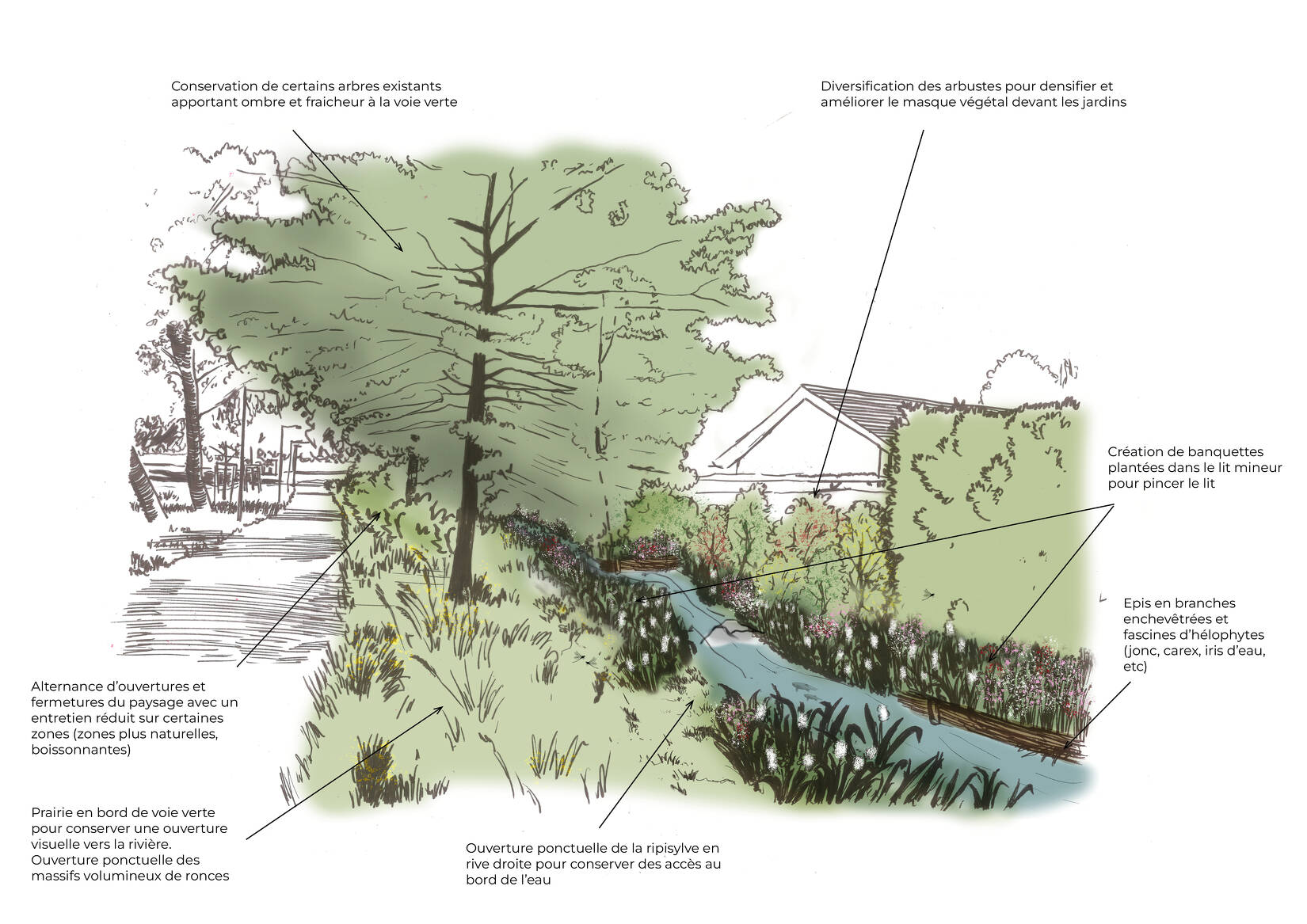 Restauration de la Ressouze et du Devorah