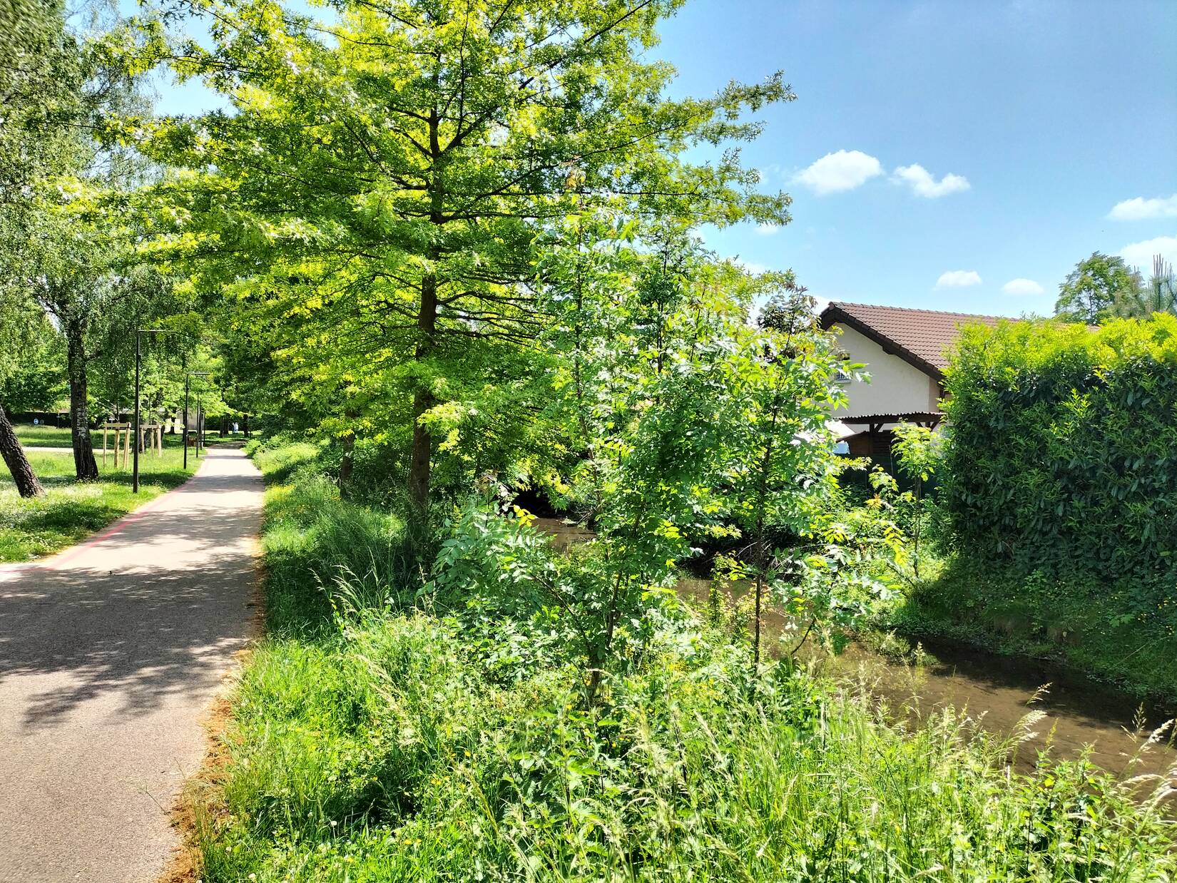 Restauration de la Ressouze et du Devorah