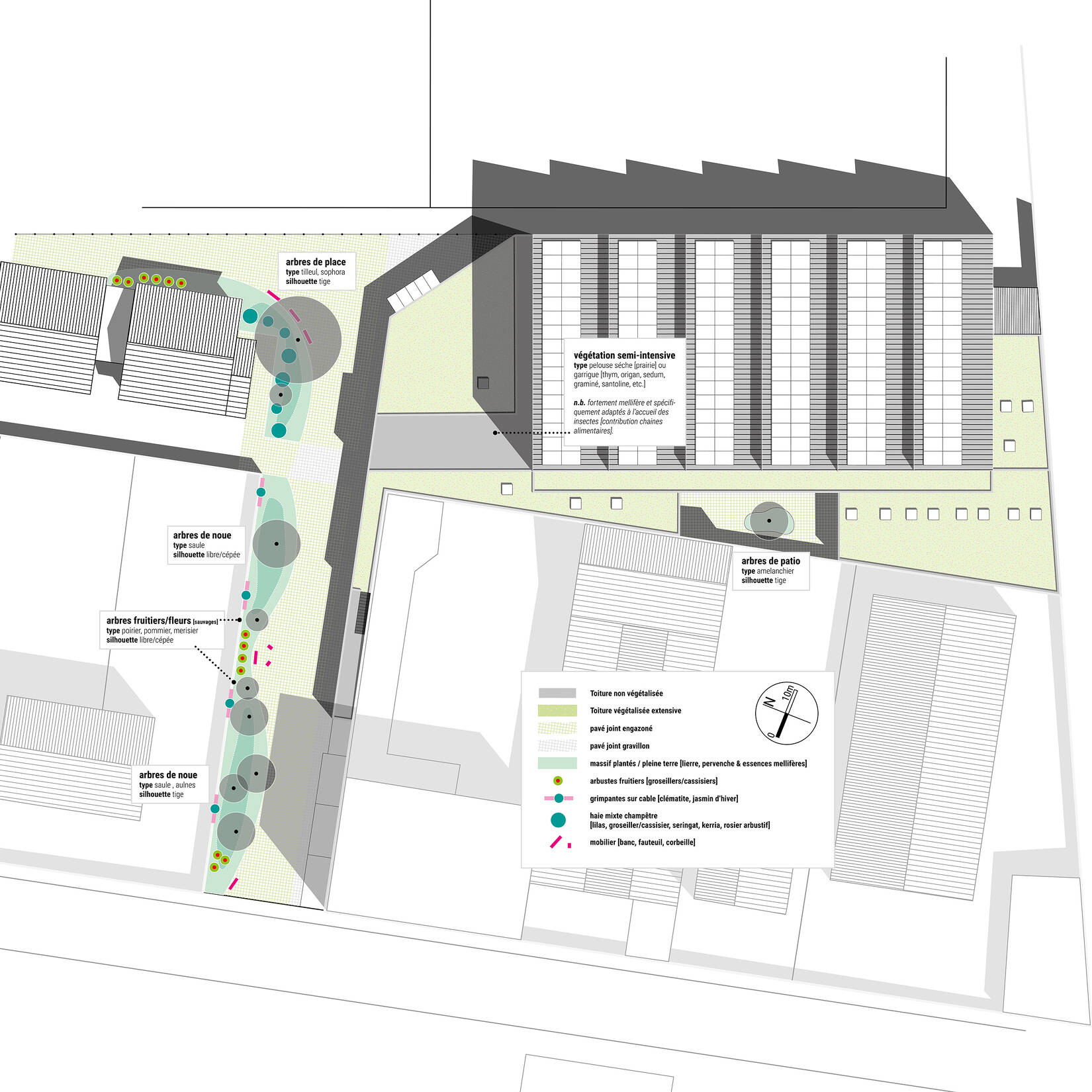 Réhabilitation du complexe sportif Dominique Matéo