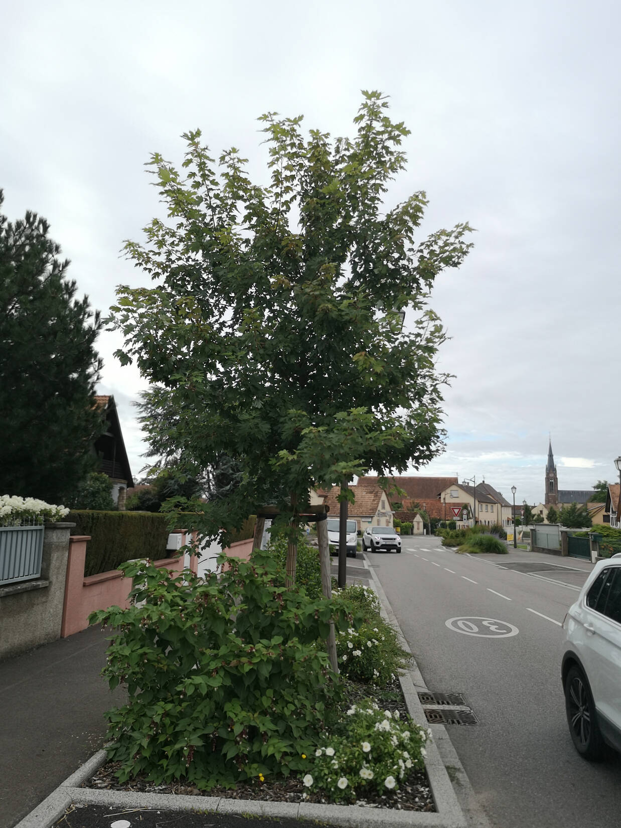 Aménagement de la traversée et renouvellement des réseaux