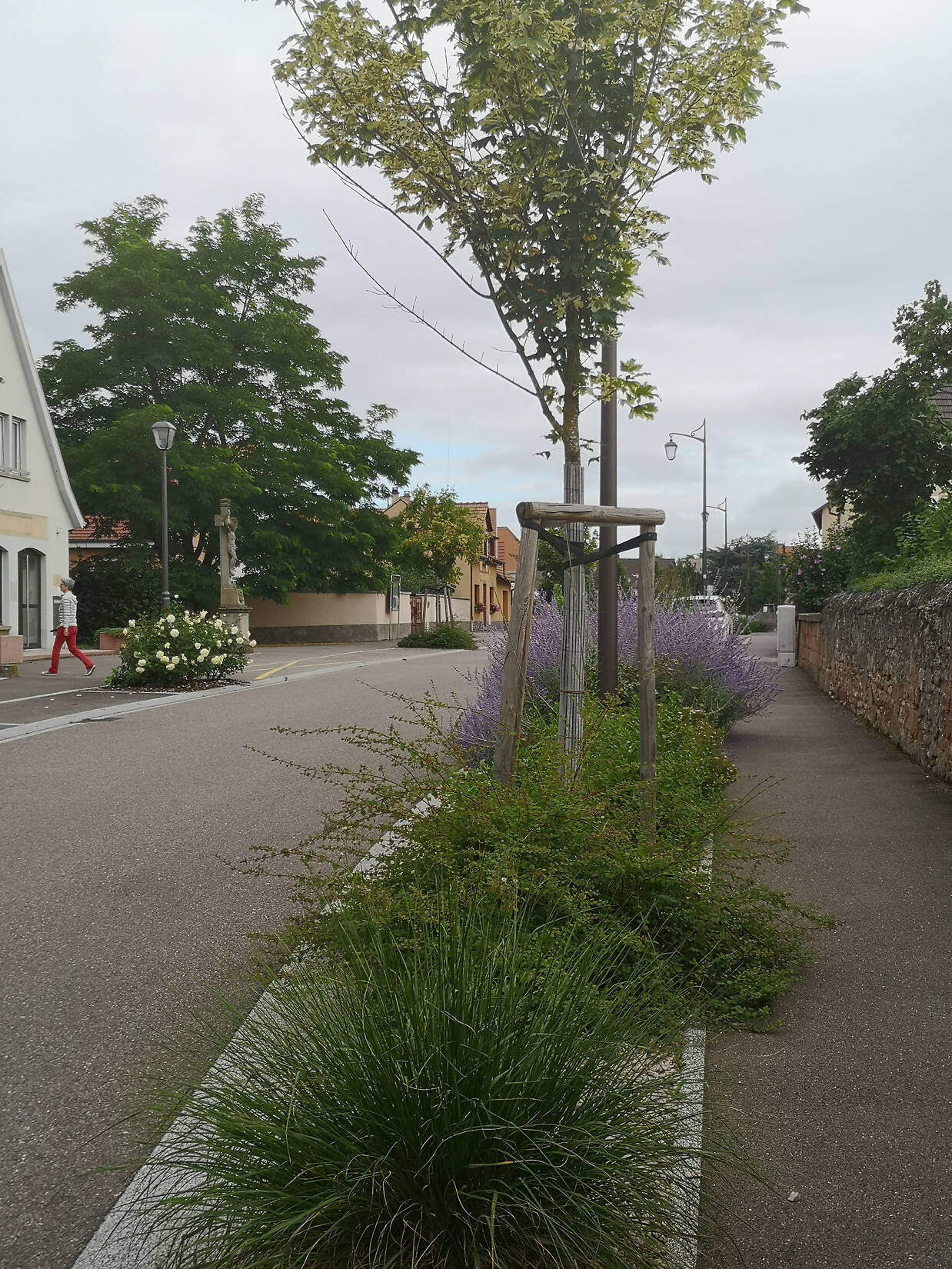 Aménagement de la traversée et renouvellement des réseaux