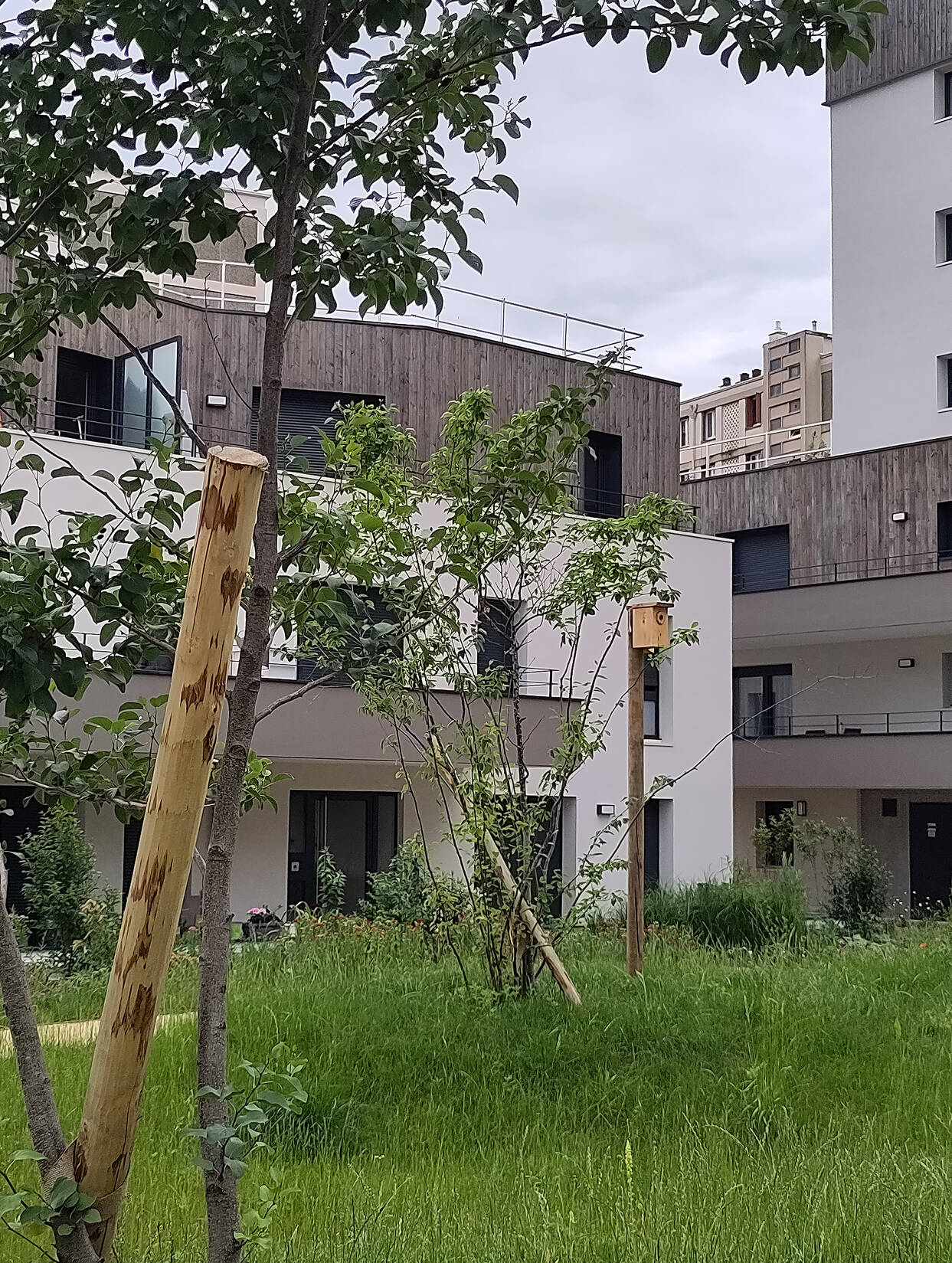 Aménagement des espaces publics et des jardins en coeur d‘îlot de l‘opération Libre-Cours
