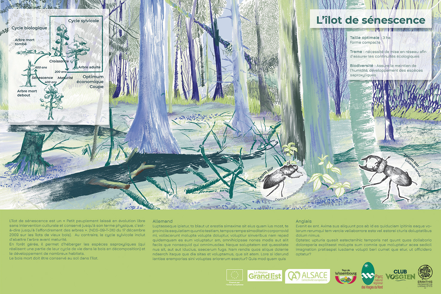 05_Panneau_Wissembourg