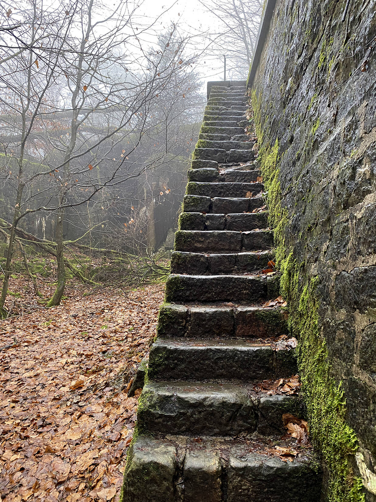 IMAGE_ESCALIER_PDG