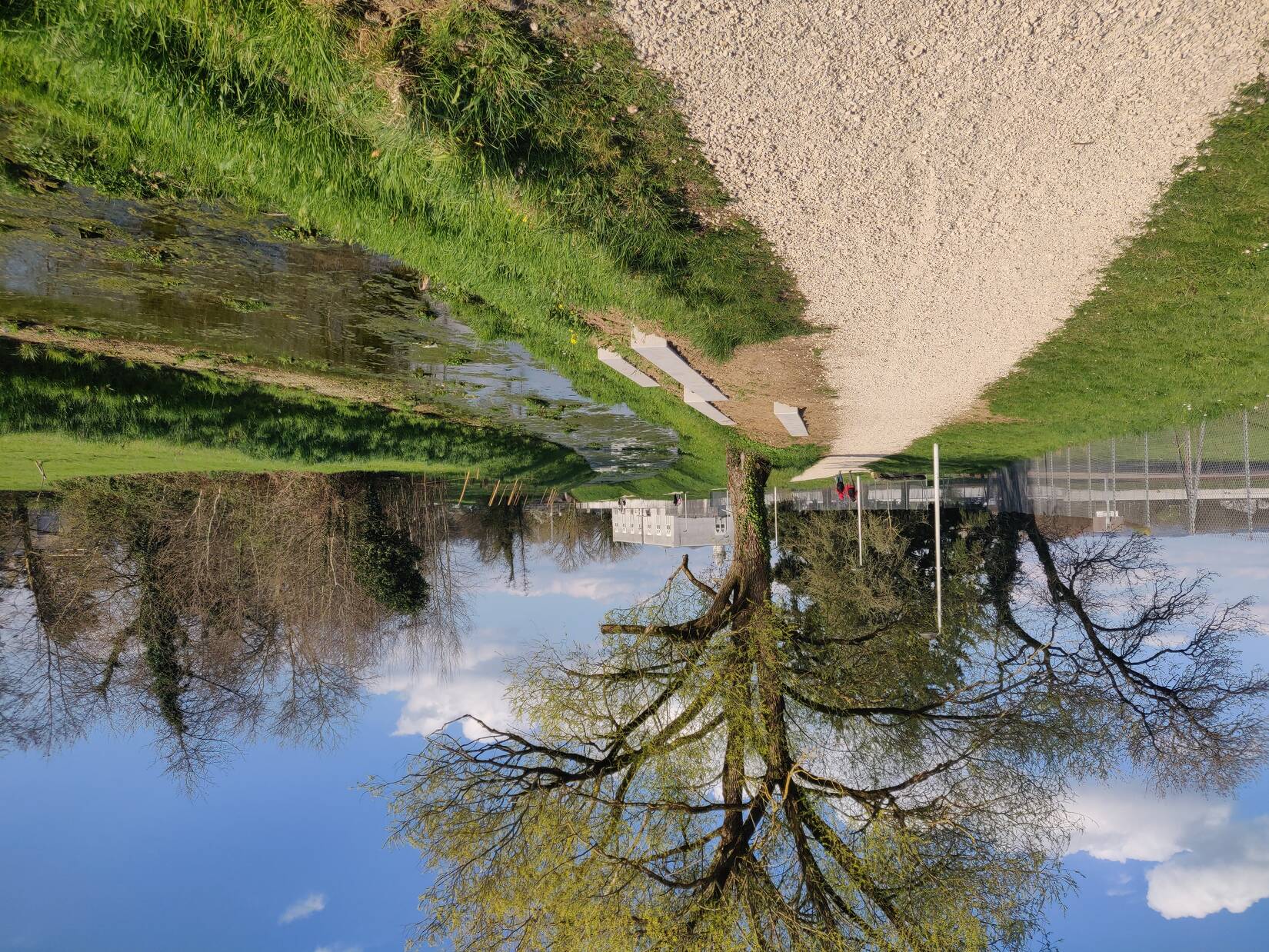 Restauration de la Reyssouze et du Dévorah