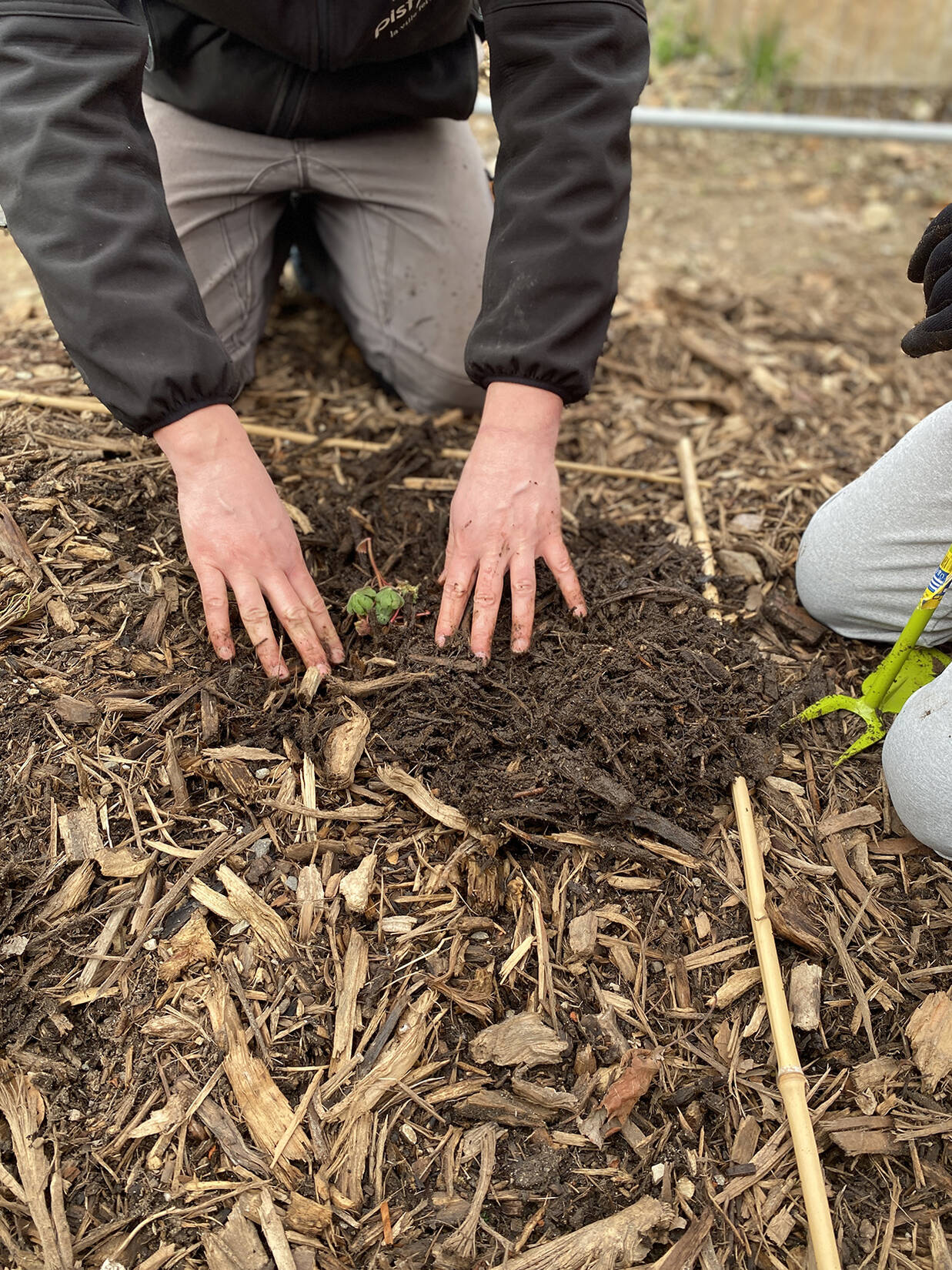Réhabilitation du mail piéton Jean Monnet
