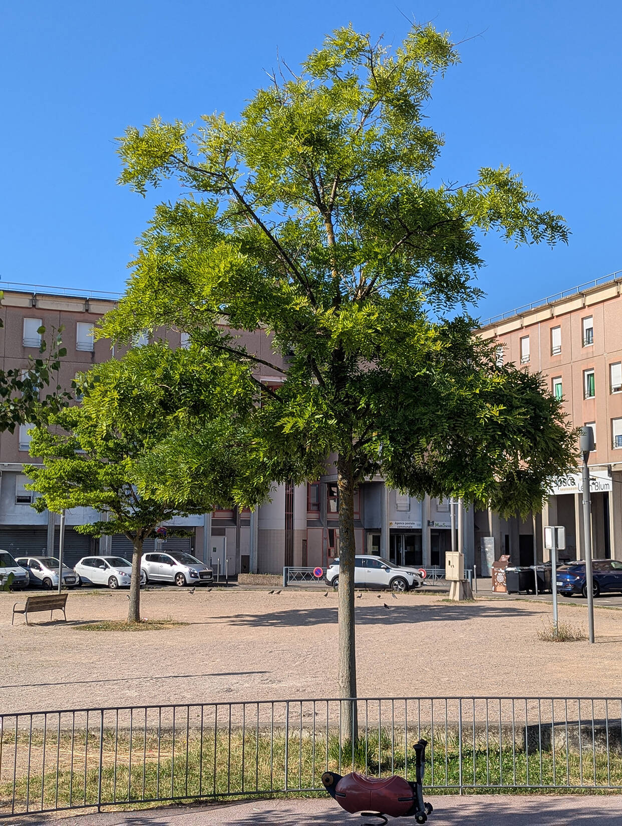 Quartier des Clochettes