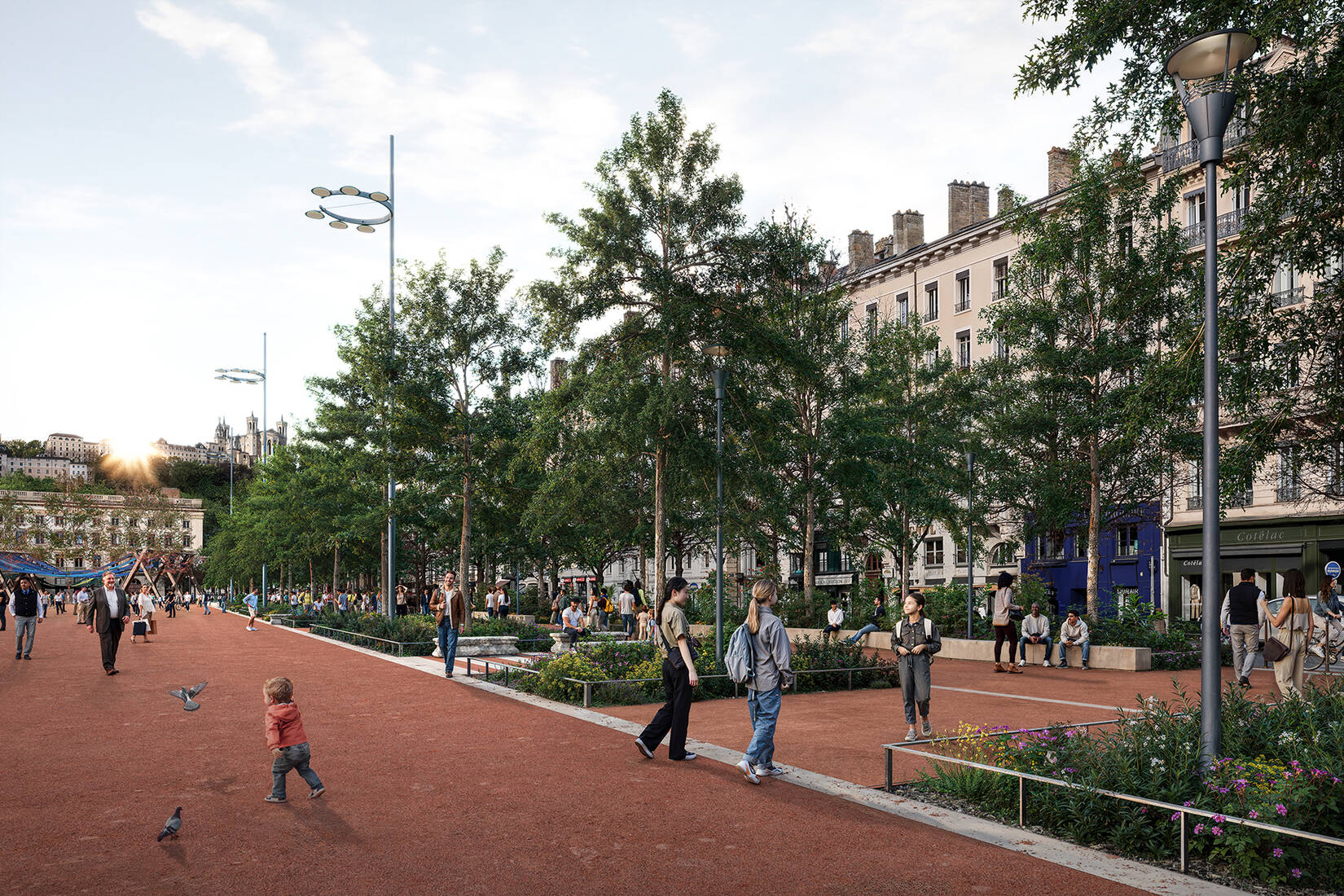 Végétalisation du mail nord de la place Bellecour