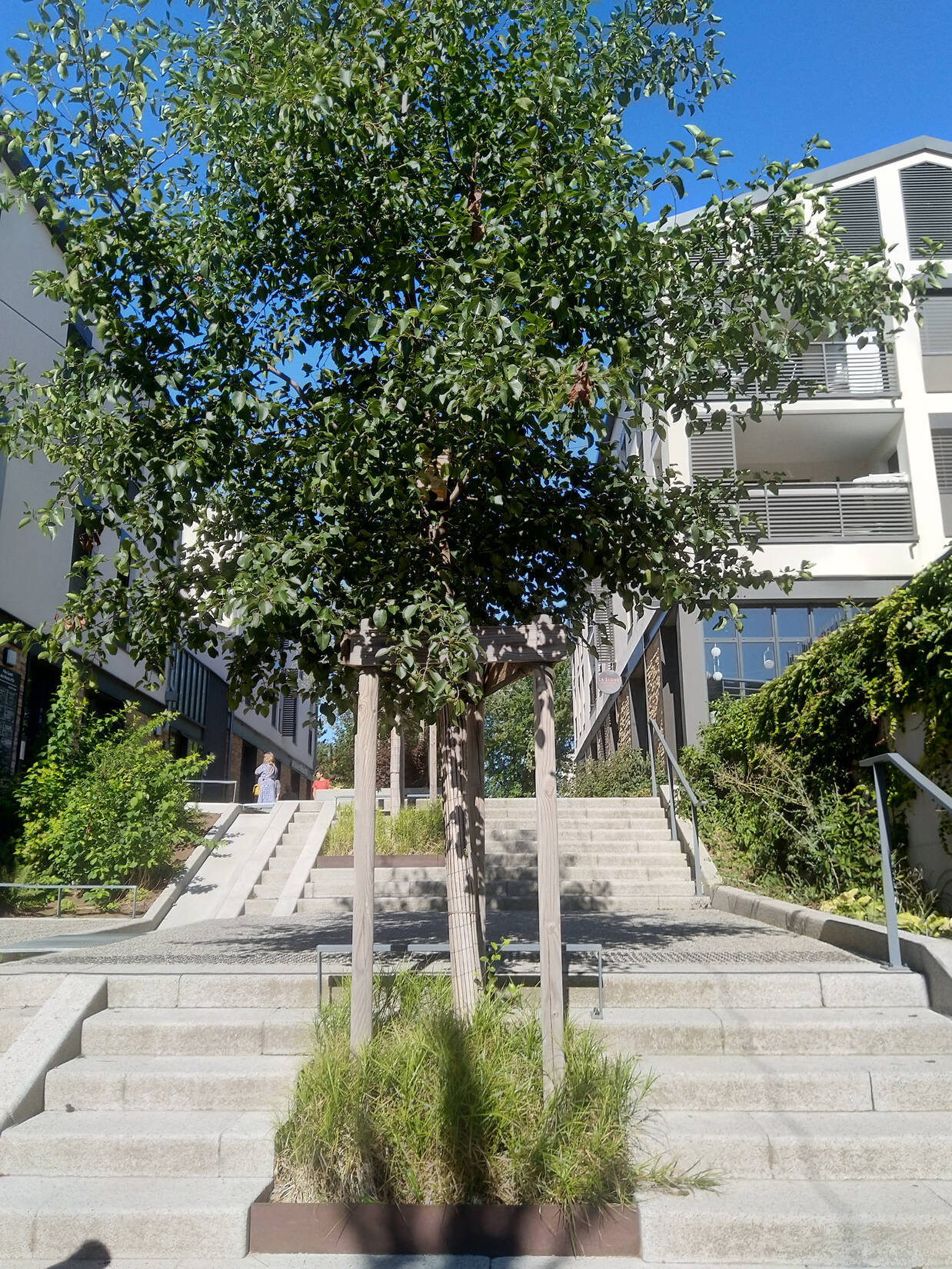 Ilot de la Plancha