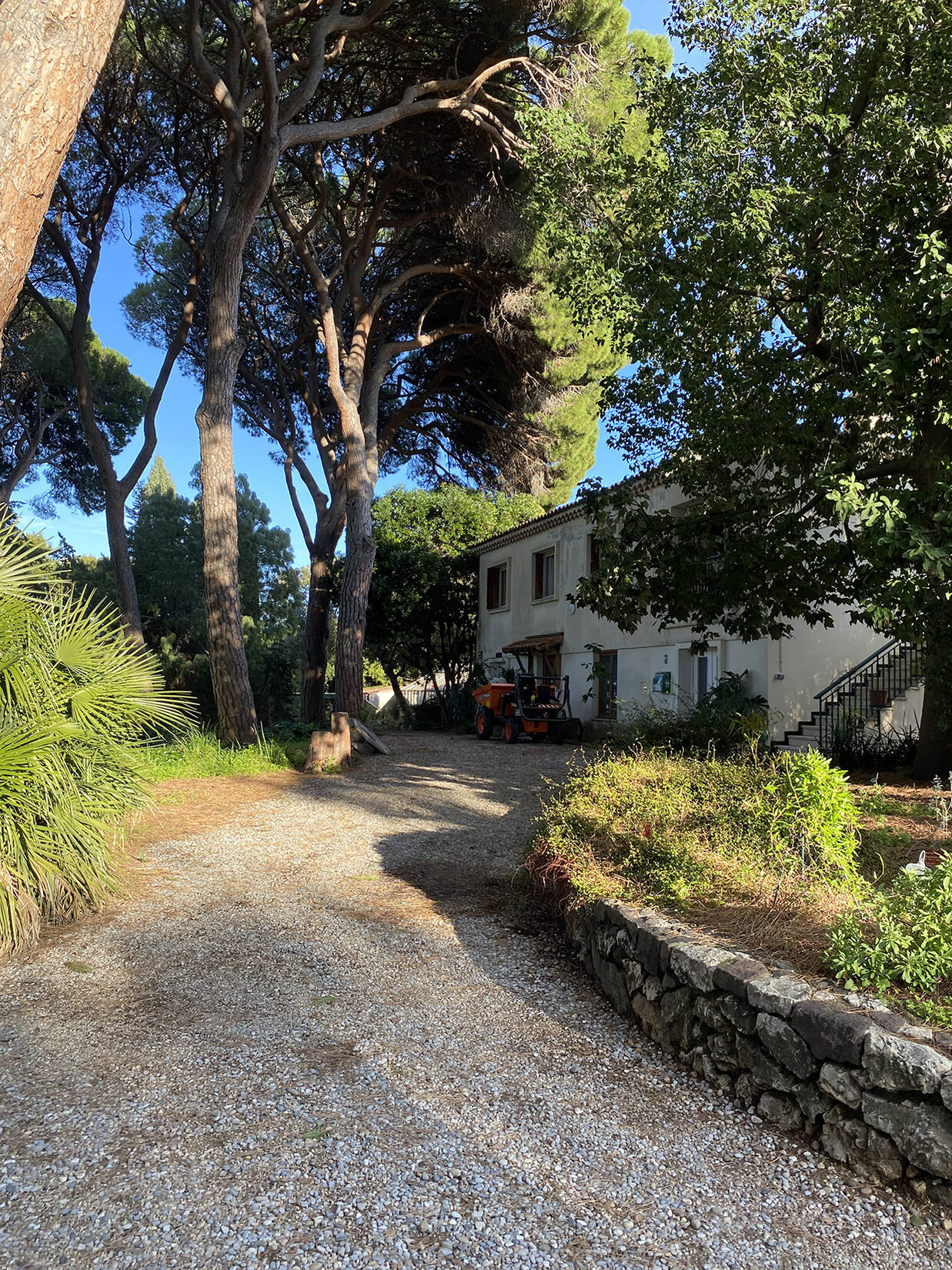 Jardin botanique de la Villa Thuret