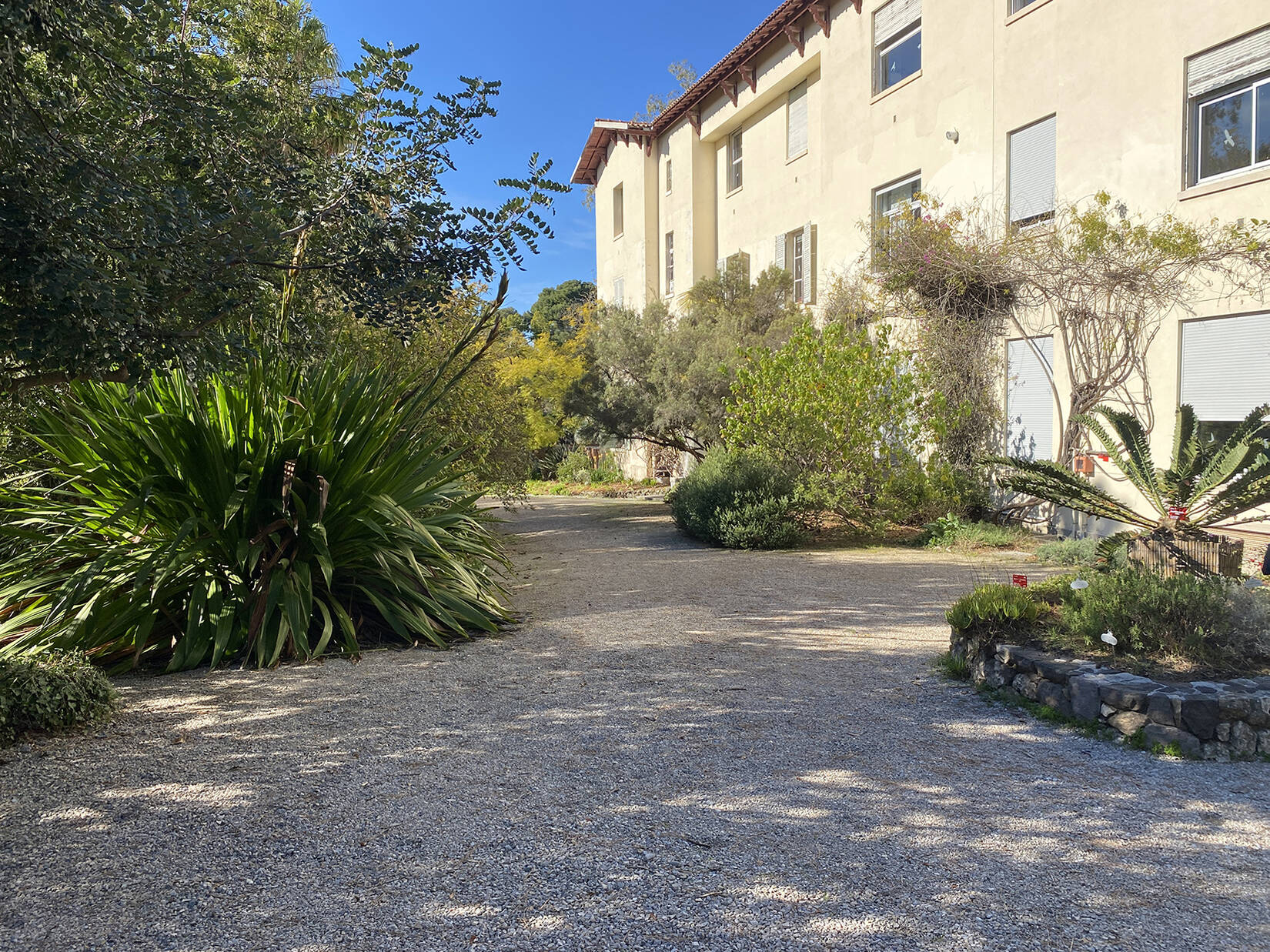Jardin botanique de la Villa Thuret